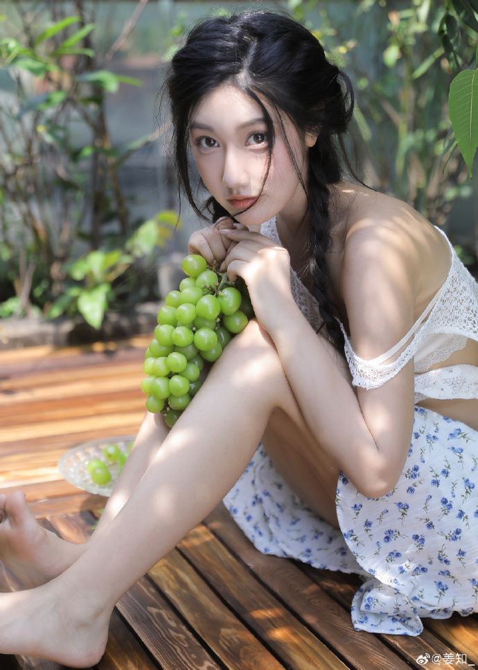 元素城 封面